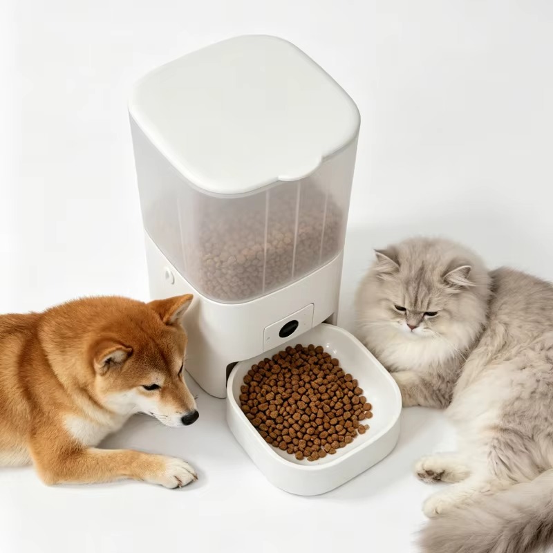 6L Automatic Cat Feeder With C - Kitchen Appliances Video recension och pris